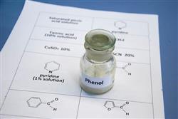How Does Phenol Benefit the Plastics Industry in the UAE?